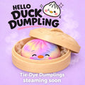 Hello Duck Dumpling Squishy